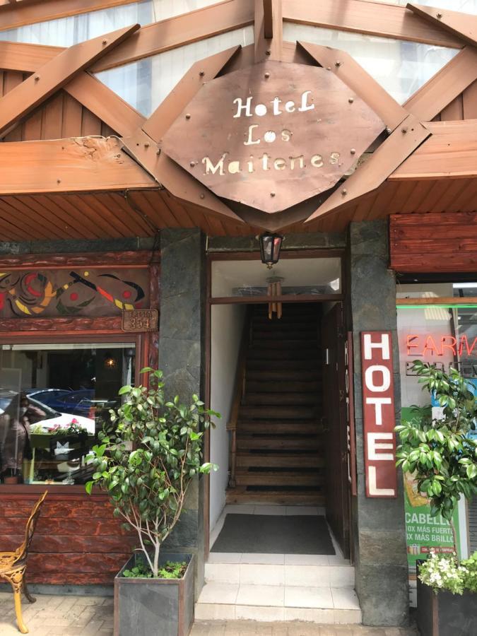 Hotel Los Maitenes プコン エクステリア 写真